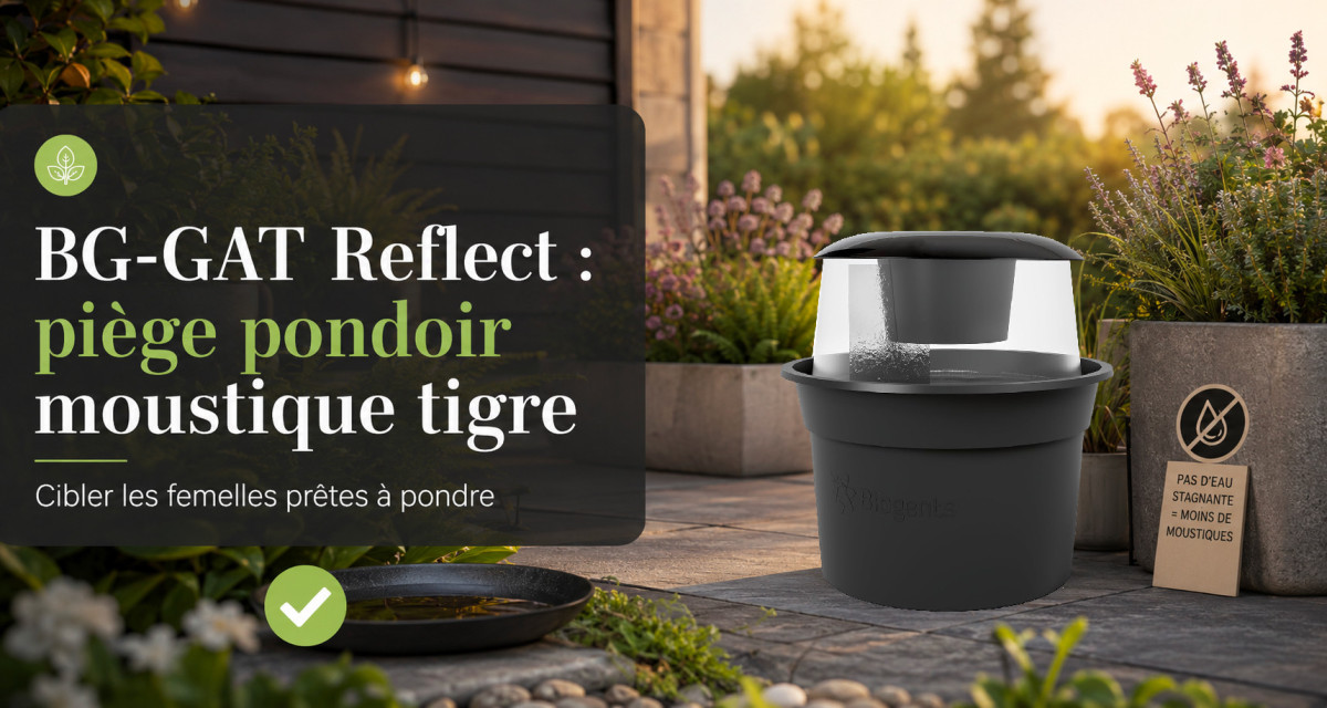 BG-GAT Reflect : pi&egrave;ge pondoir contre le moustique tigre