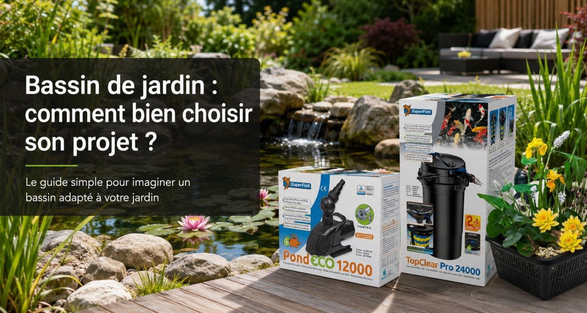 Bassin de jardin : comment bien choisir son projet ?