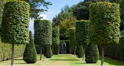 Bien tailler plantes et arbres