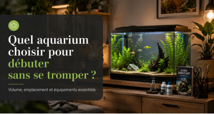 Quel aquarium choisir pour d&eacute;buter sans se tromper ?