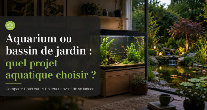 Aquarium ou bassin de jardin : quel projet aquatique choisir ?